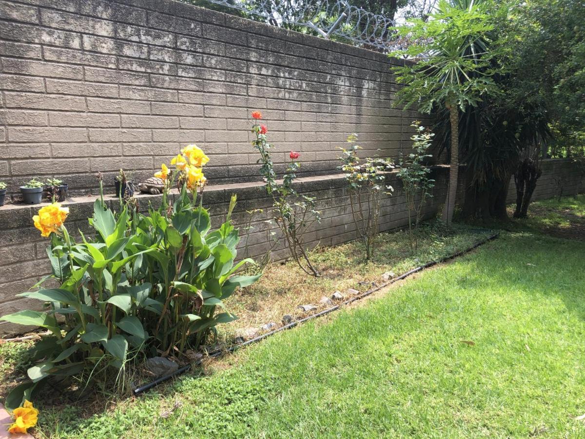 לינה וארוחת בוקר Tlaquepaque Casa Del Retono מראה חיצוני תמונה