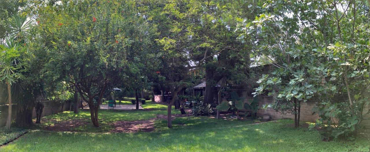 לינה וארוחת בוקר Tlaquepaque Casa Del Retono מראה חיצוני תמונה