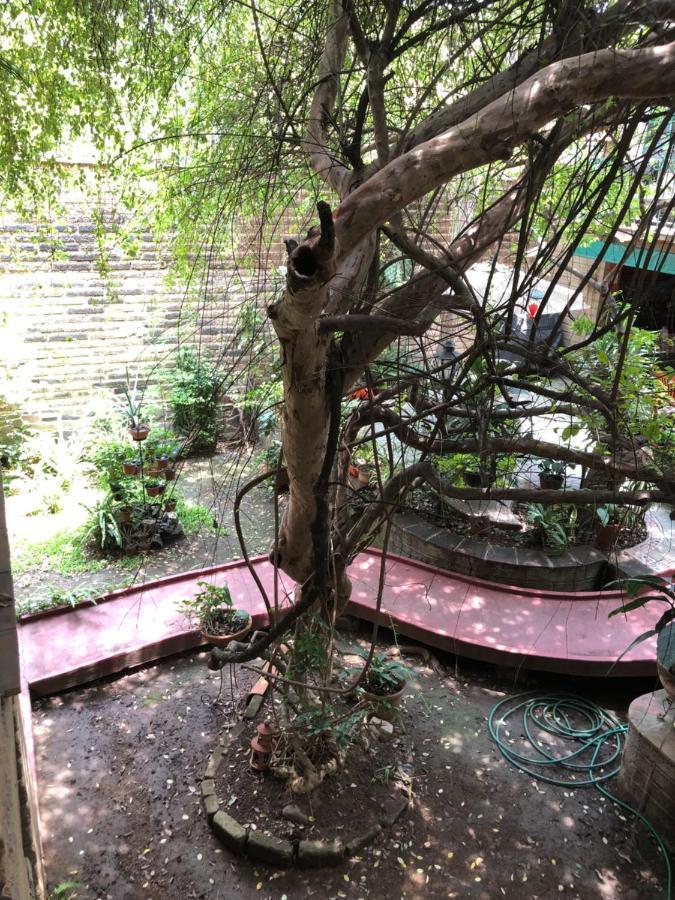 לינה וארוחת בוקר Tlaquepaque Casa Del Retono מראה חיצוני תמונה